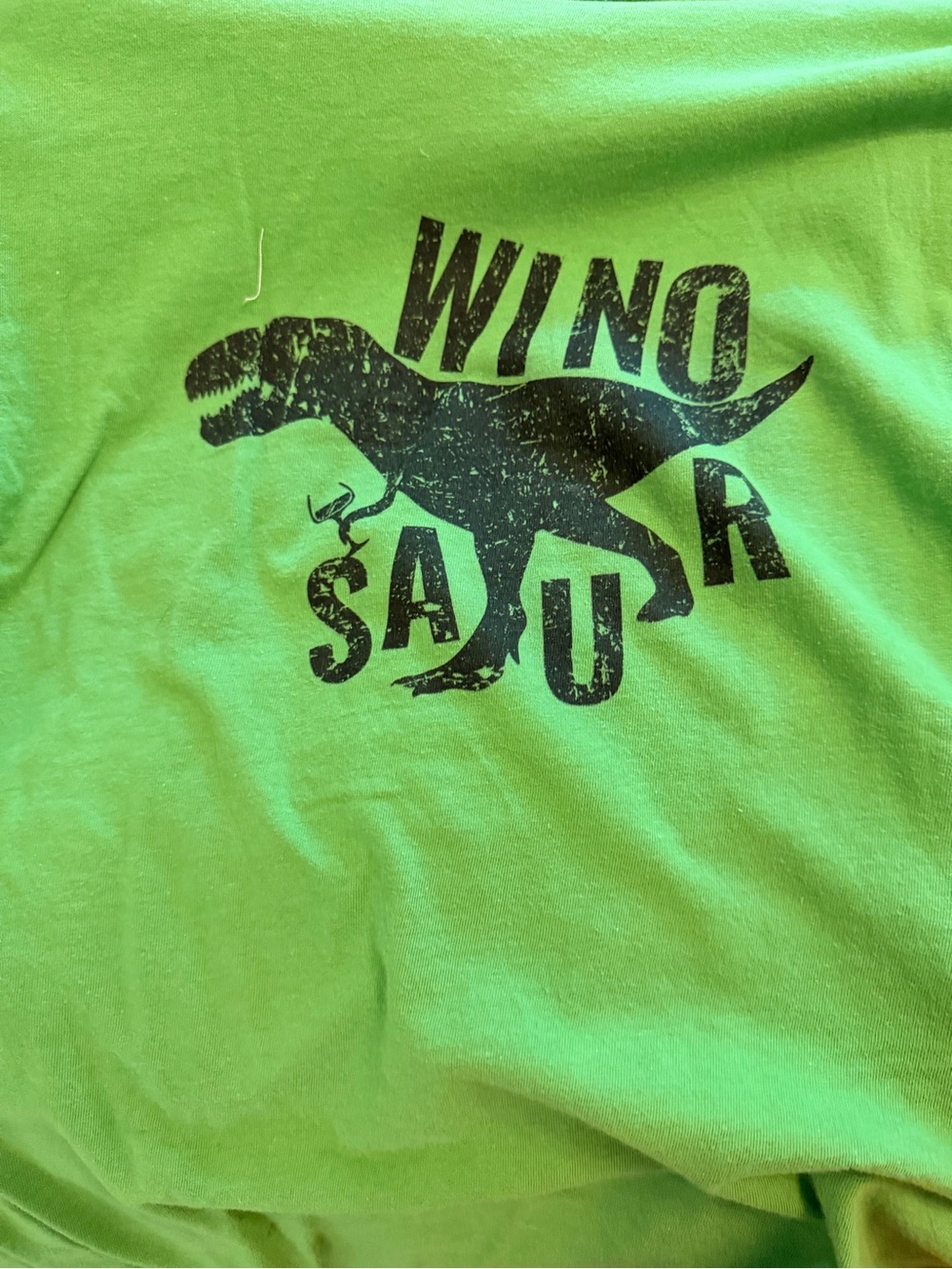 Women Green Dinosaur Graphic Tee